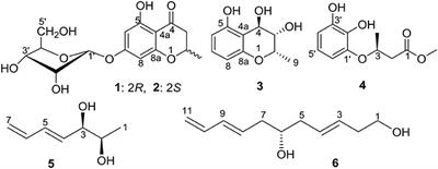 Polyketides From the Endophytic Fungus Cladosporium sp. Isolated From the Mangrove Plant Excoecaria agallocha